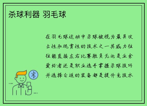 杀球利器 羽毛球