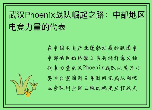 武汉Phoenix战队崛起之路：中部地区电竞力量的代表